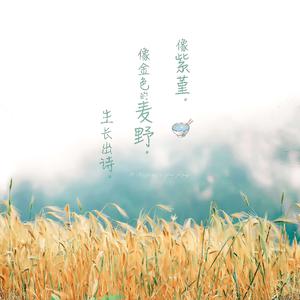 中文字幕第一页在线播放
