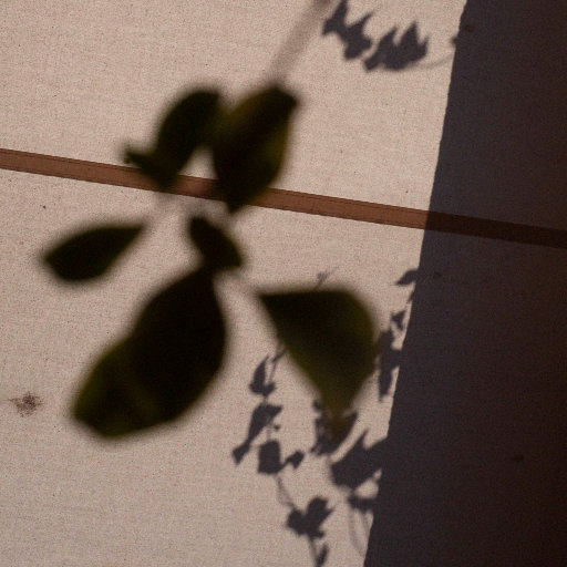 中文字幕第一页在线播放
